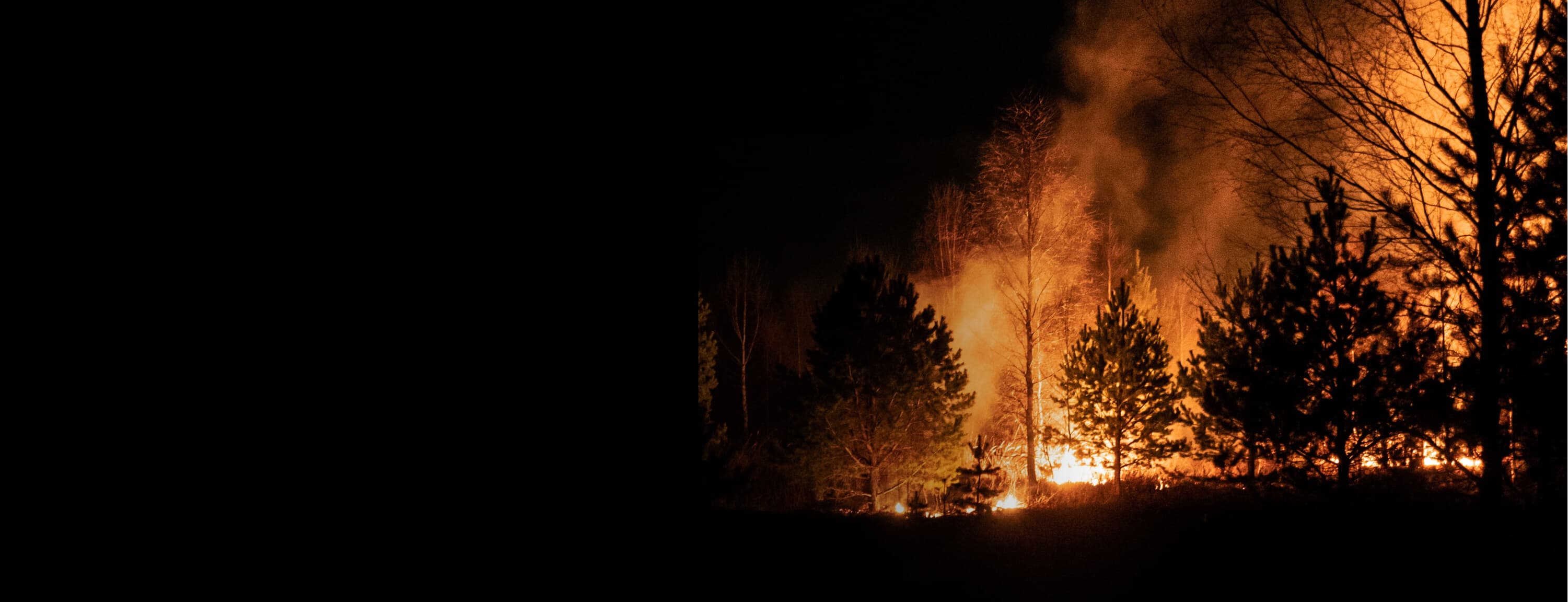 Waldbrände in Deutschland - immer häufiger, immer größer